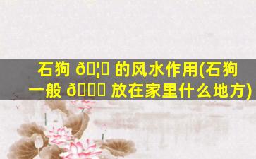 石狗 🦄 的风水作用(石狗一般 🐞 放在家里什么地方)